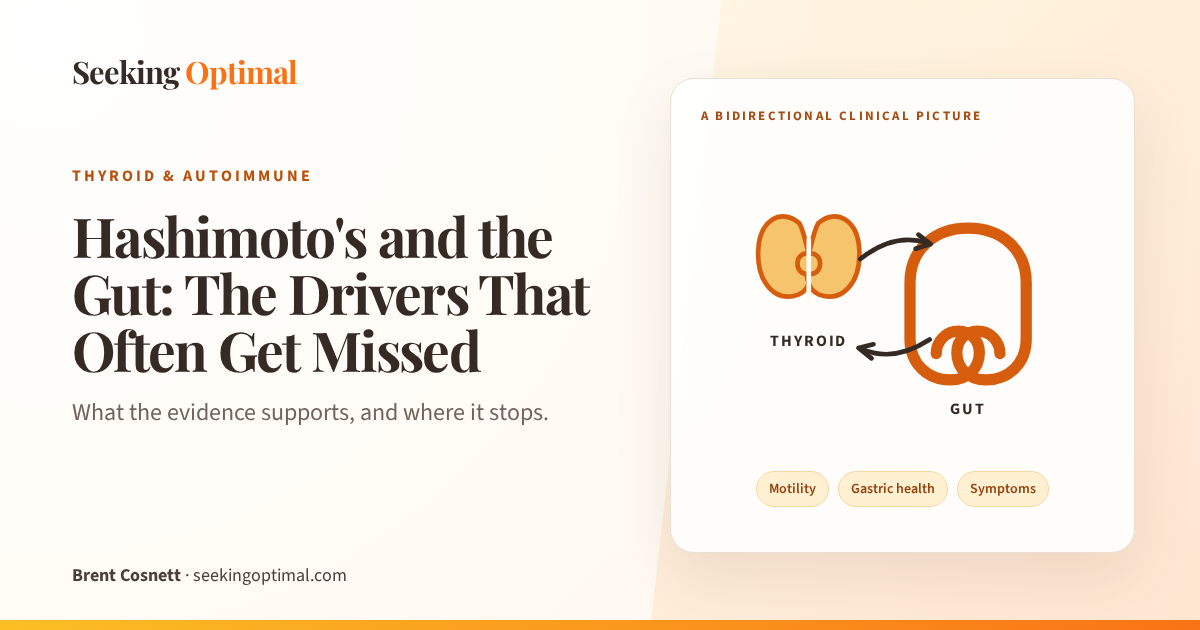 Featured image for Hashimoto's and the Gut: The Drivers That Often Get Missed